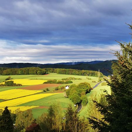 Geraeumige 2-Z Wohnung Im Gruenen, Garten, Terrasse, Ruhig, Natur, Phantastischer Blick! Marburg Zewnętrze zdjęcie