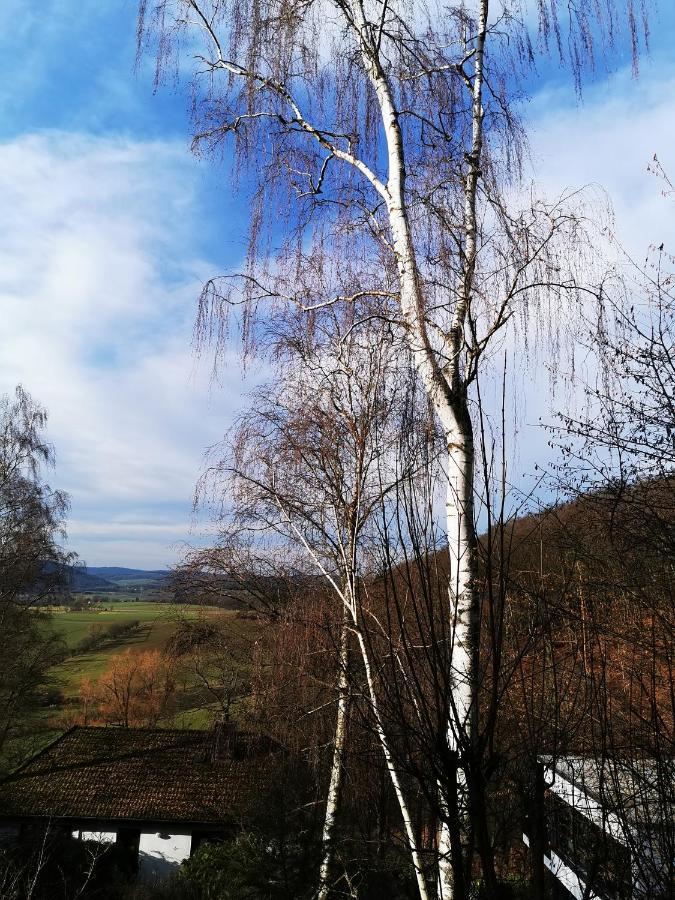 Geraeumige 2-Z Wohnung Im Gruenen, Garten, Terrasse, Ruhig, Natur, Phantastischer Blick! Marburg Zewnętrze zdjęcie