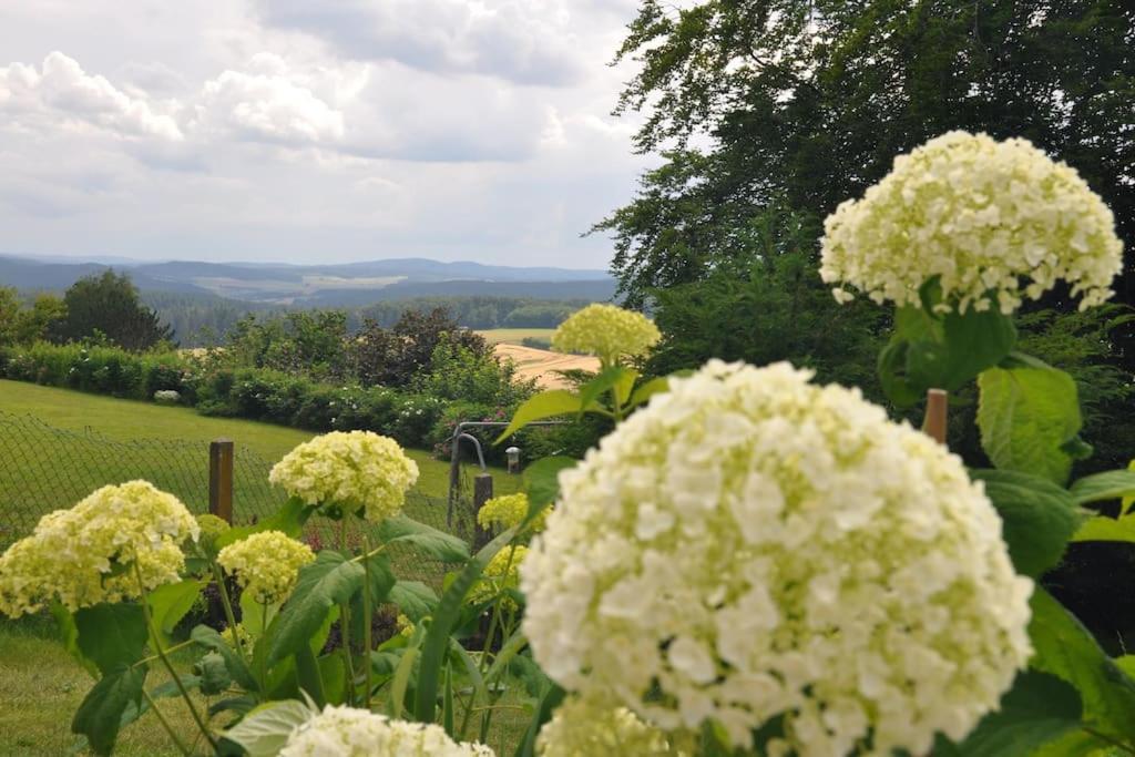 Geraeumige 2-Z Wohnung Im Gruenen, Garten, Terrasse, Ruhig, Natur, Phantastischer Blick! Marburg Zewnętrze zdjęcie